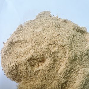 Men bia – bã hèm bia 50% đạm
